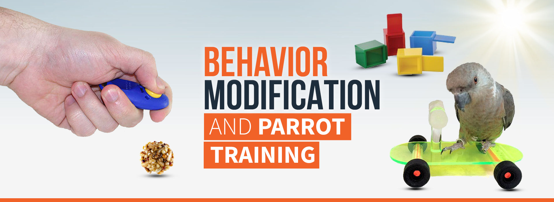 Parrot Training Supplies