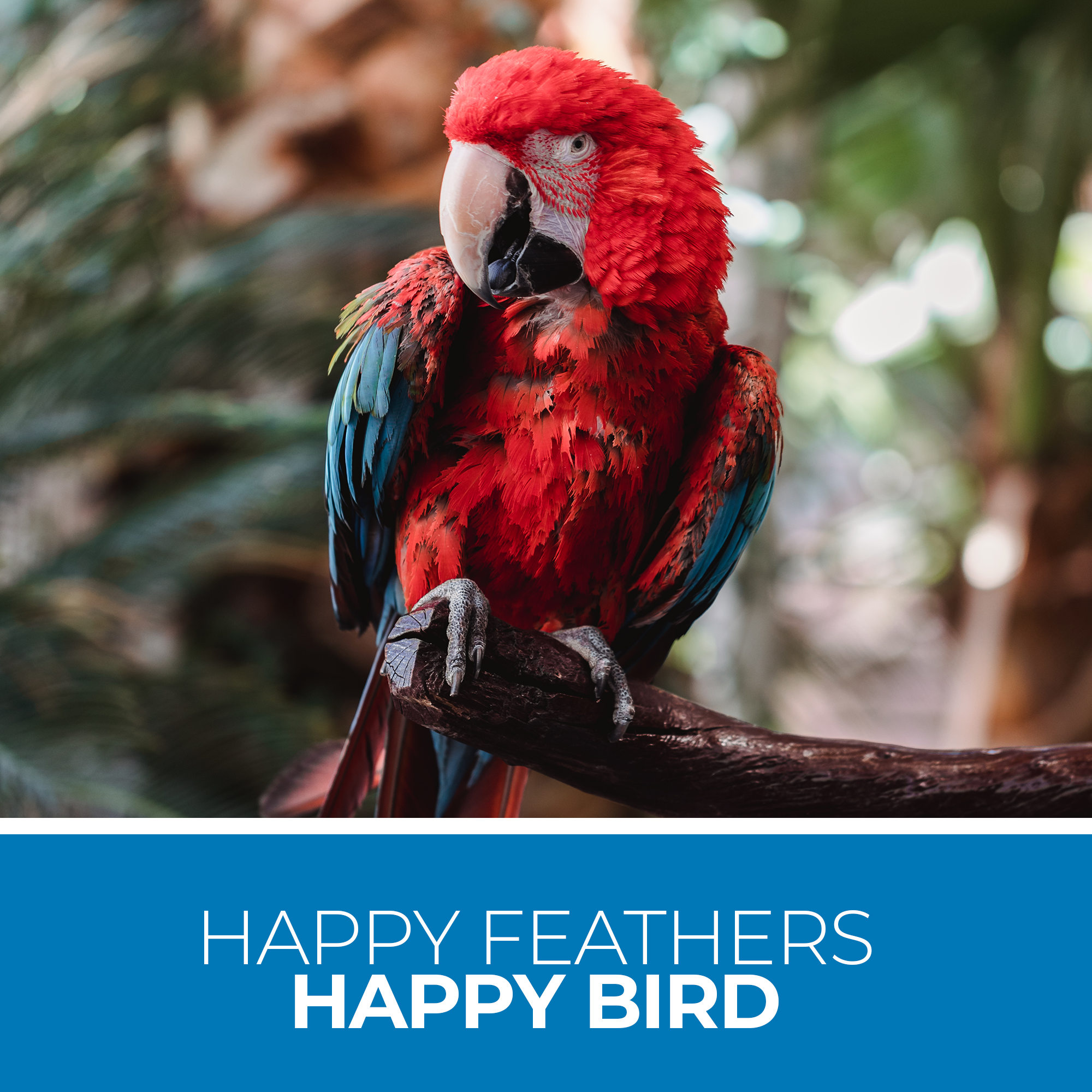 UnRuffledRx™ Aloe Vera Spray for Birds, 8 oz.