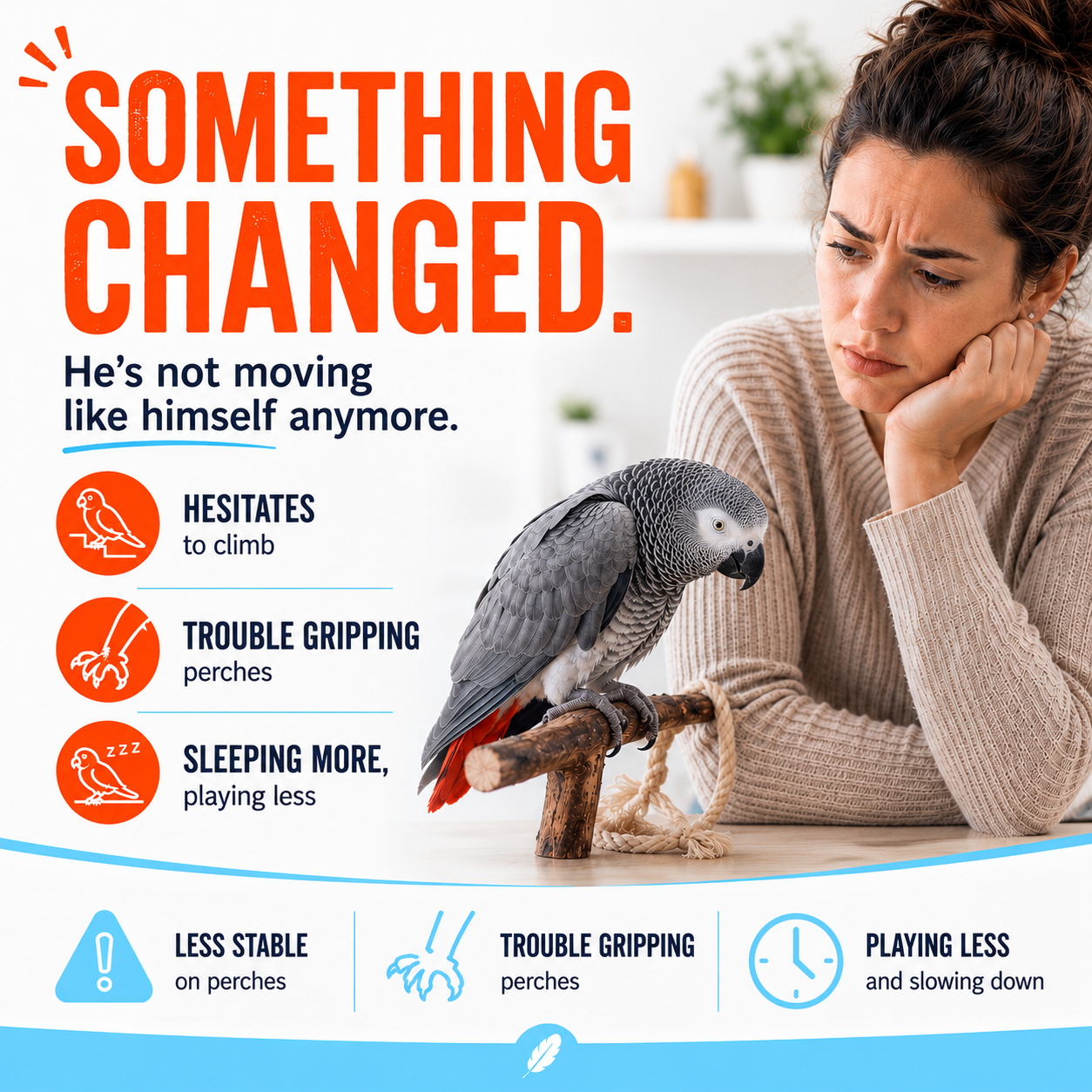 bird lover noticing that her bird is not moving like himself anymore