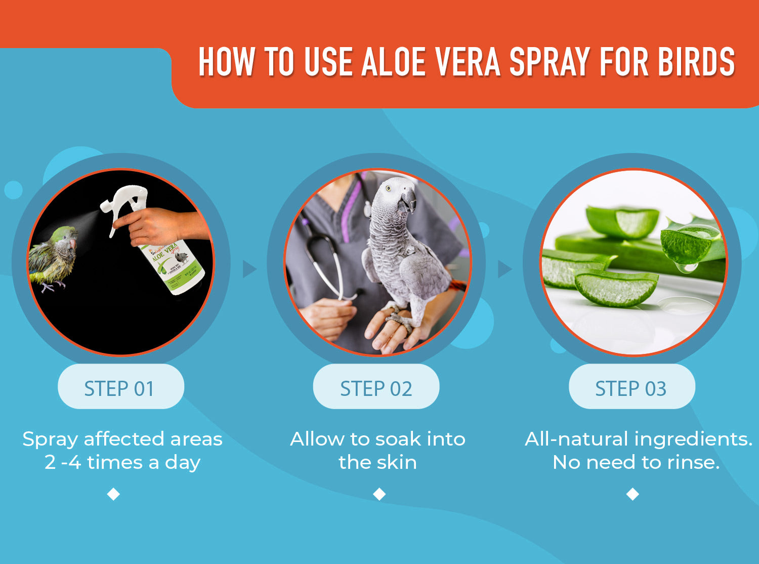 How to use aloe vera spray for birds