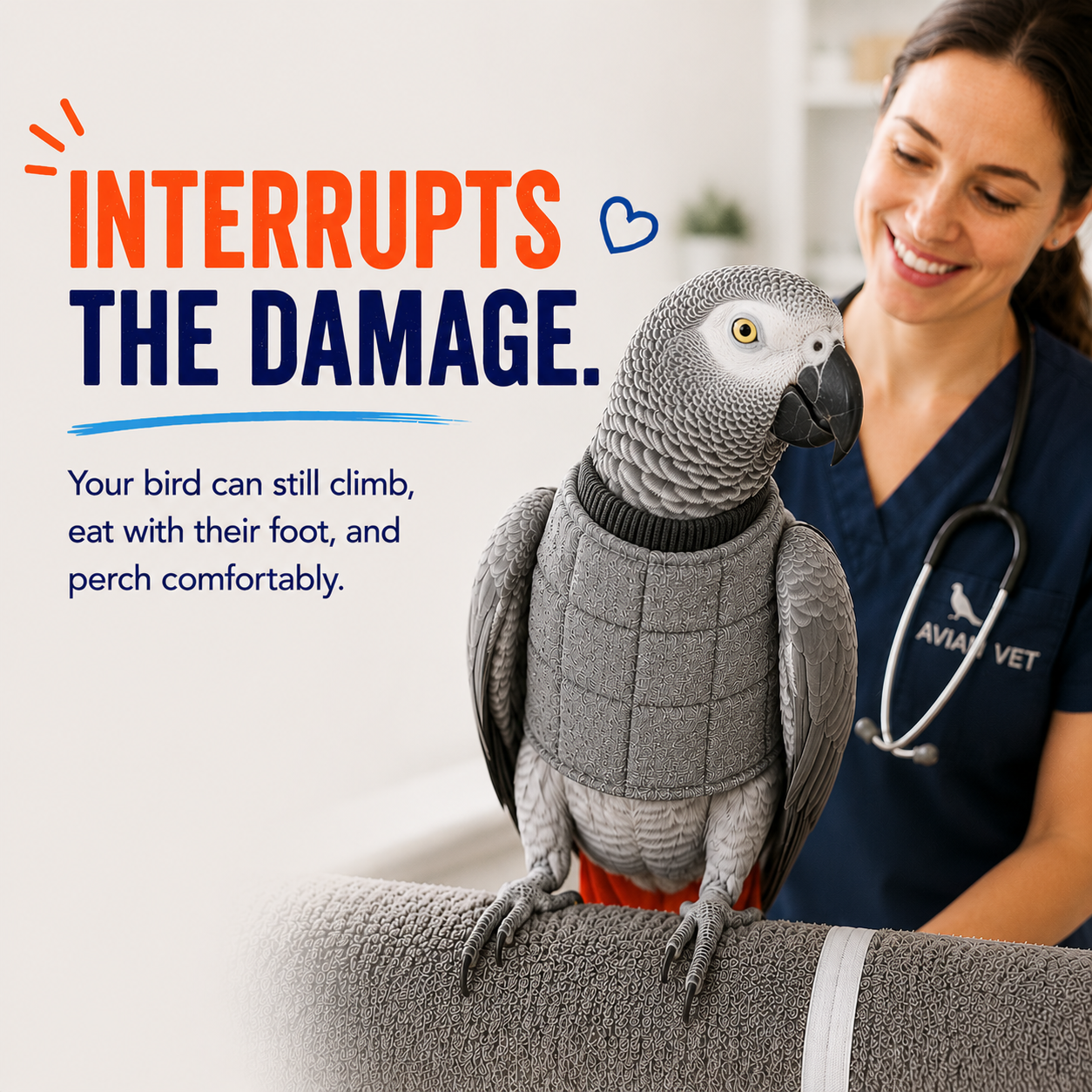 BeakGuard vest stays close to the body so most birds can still climb, perch, eat, and get around normally.