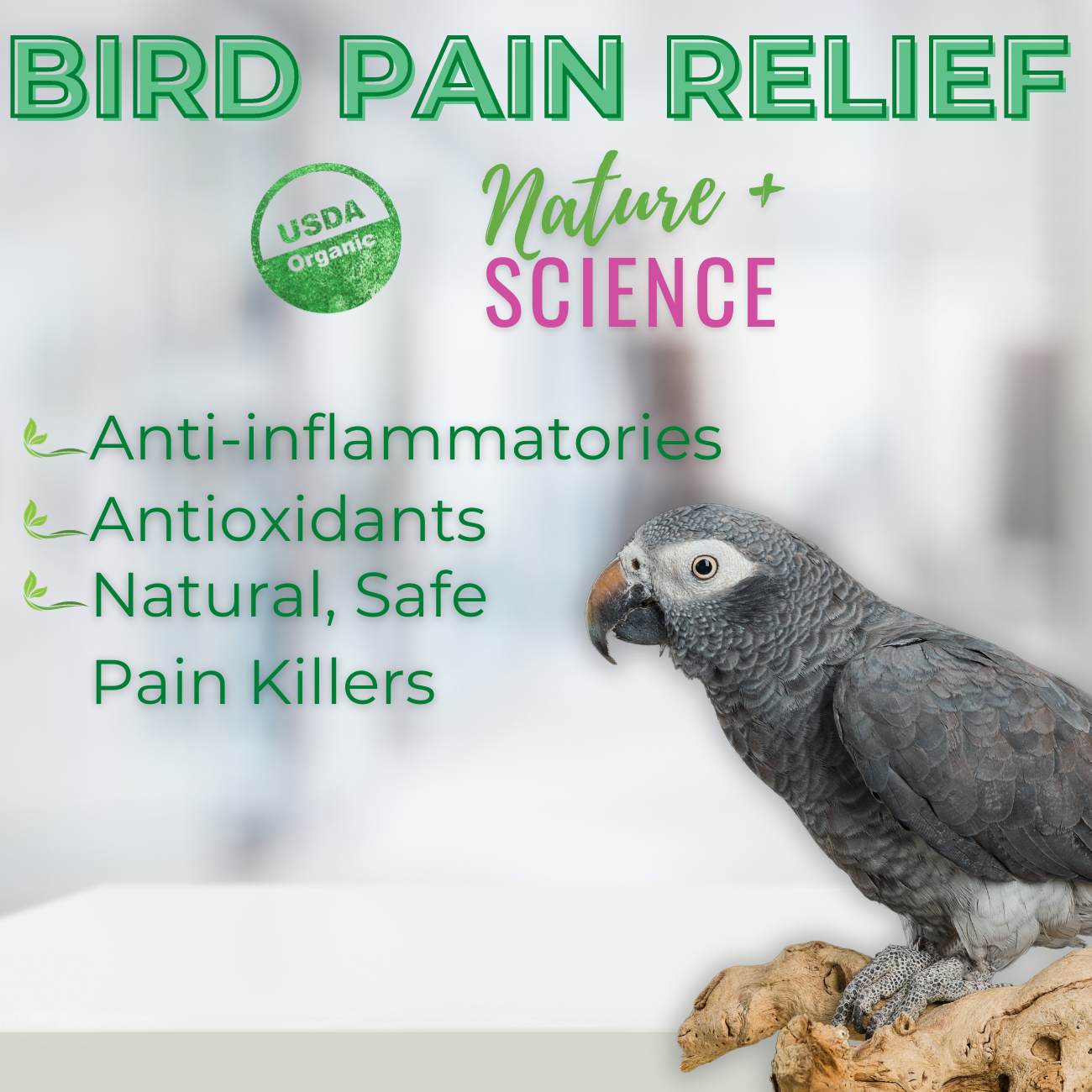 UnRufflexRx Bird Pain Relief, 2 oz.