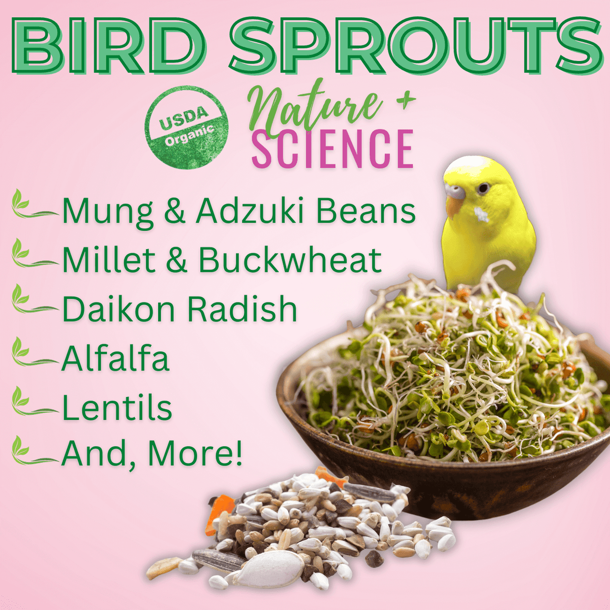 Buy UnRuffledRx Organic Sprouting Seeds For Birds