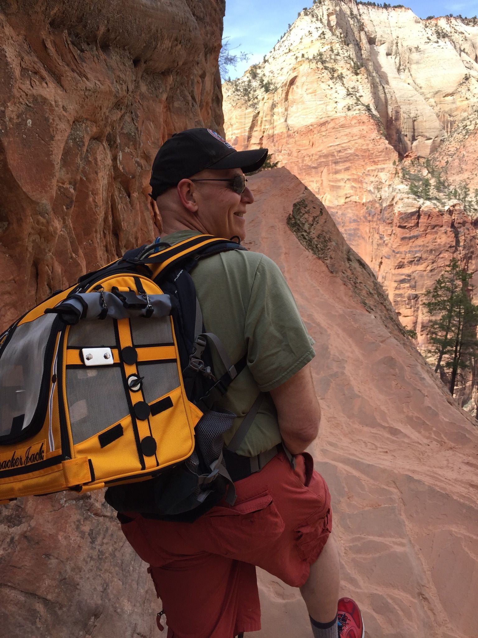 Buy Pak-O-Bird Travel Backpack Bird Carrier