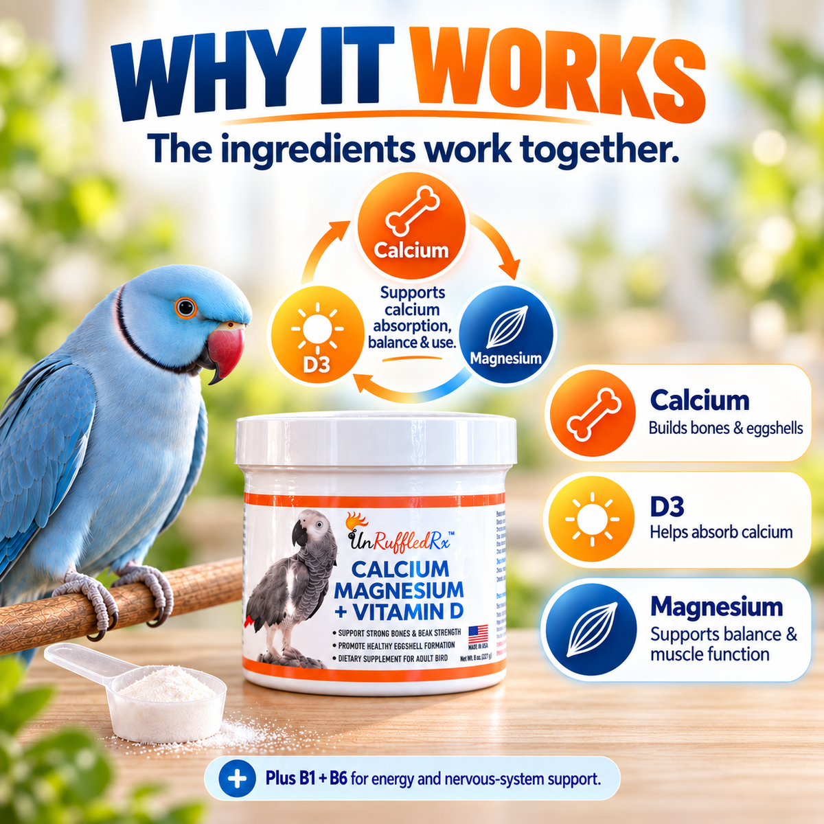 infographic that shows why each ingredient in Unruffledrx bird calcium works