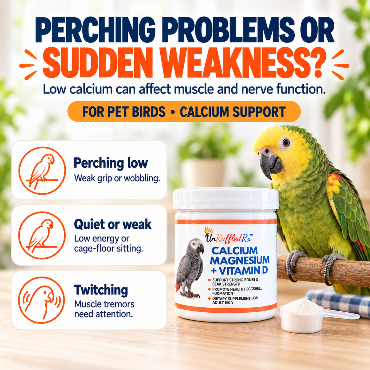 infographic showing which birds may benefit from a calcium supplement