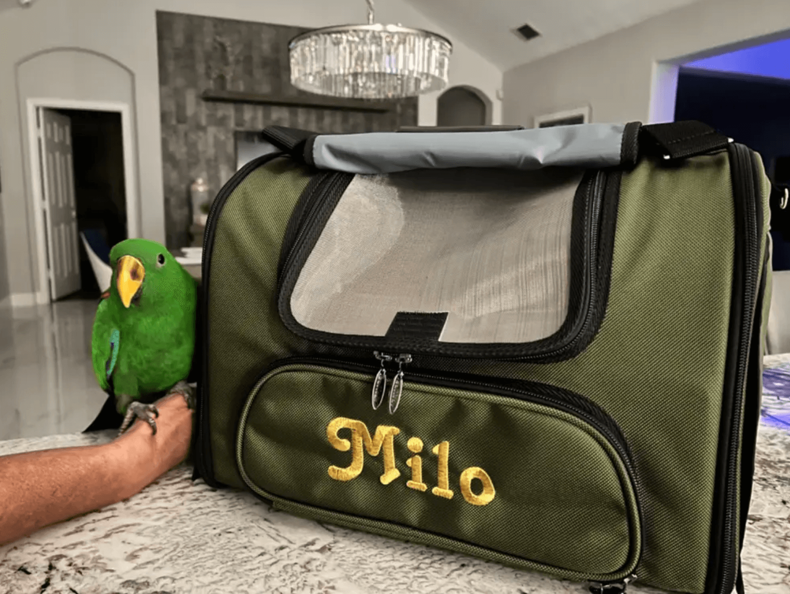 Bird Travel Carrier Airline Approved