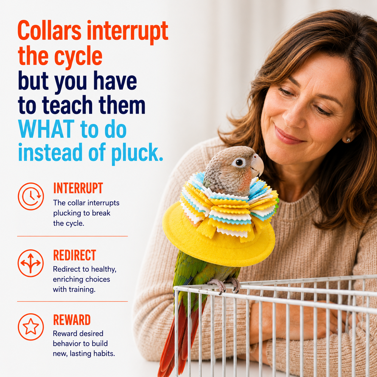 Fringy Cone Bird Collar | Break the Mutilation Cycle