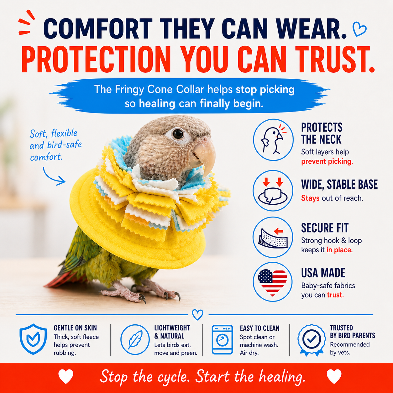 parrot wearing a thick, protective bird collar to deter plucking