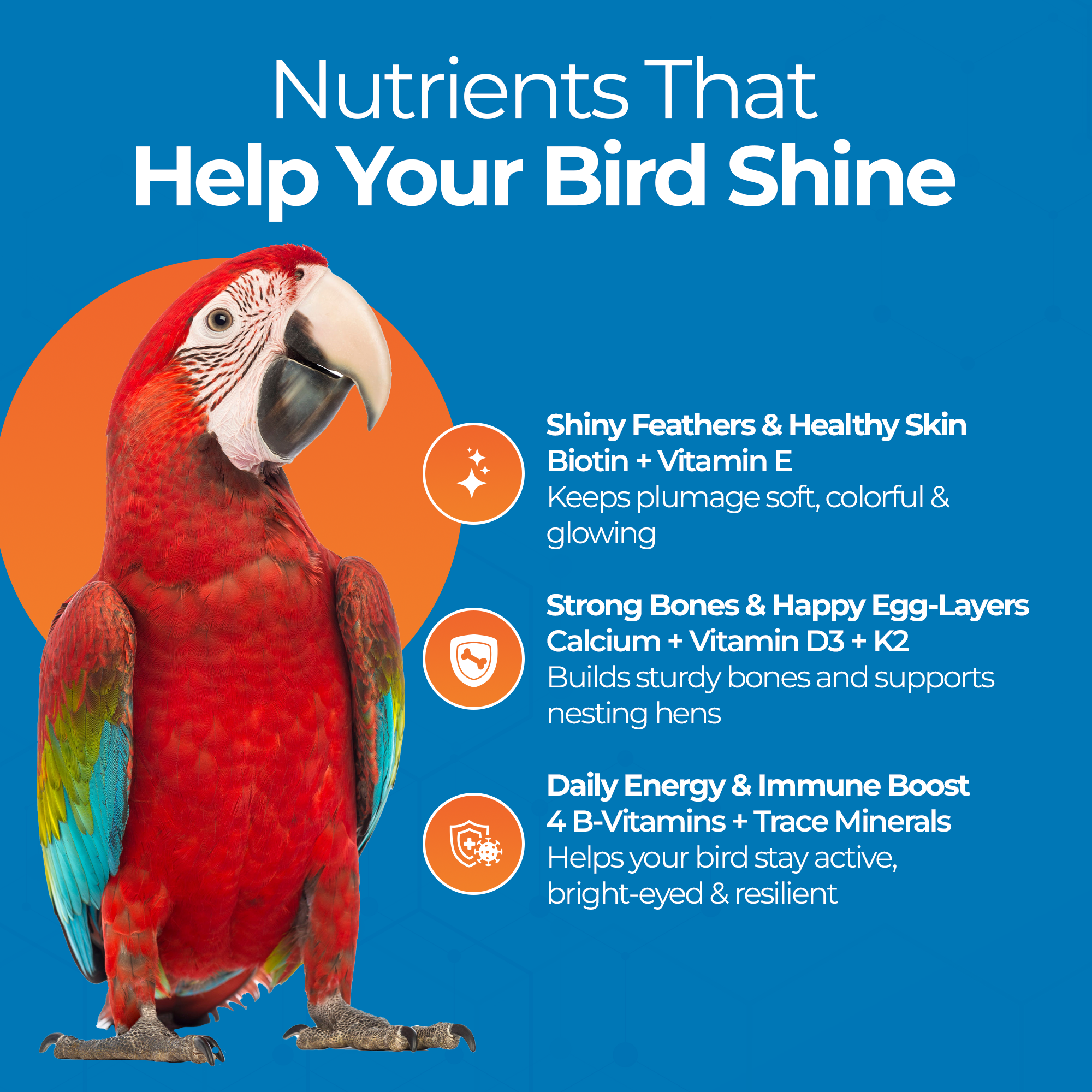 Bird Vitamins for skin health