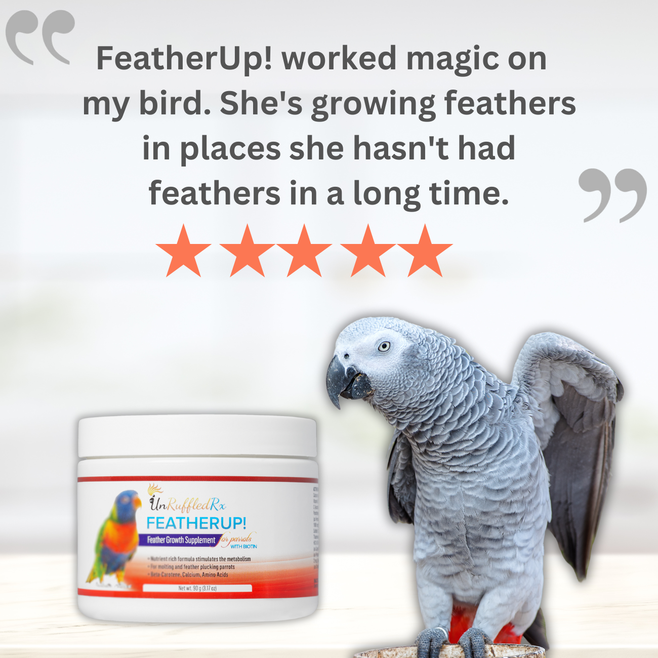 FeatherUp! Feather growth Supplement