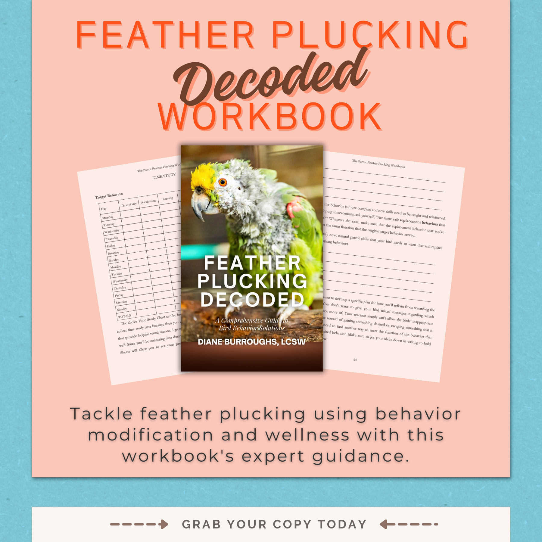 Feather Plucking Decoded Workbook