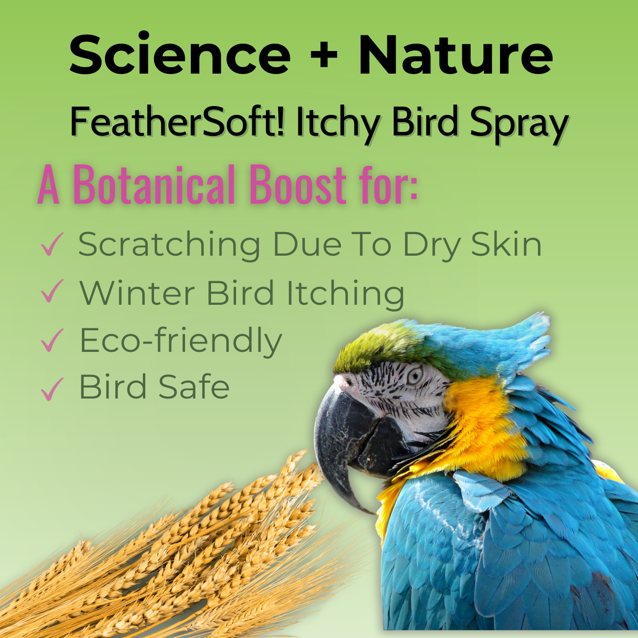 FeatherSoft Itchy Bird spray