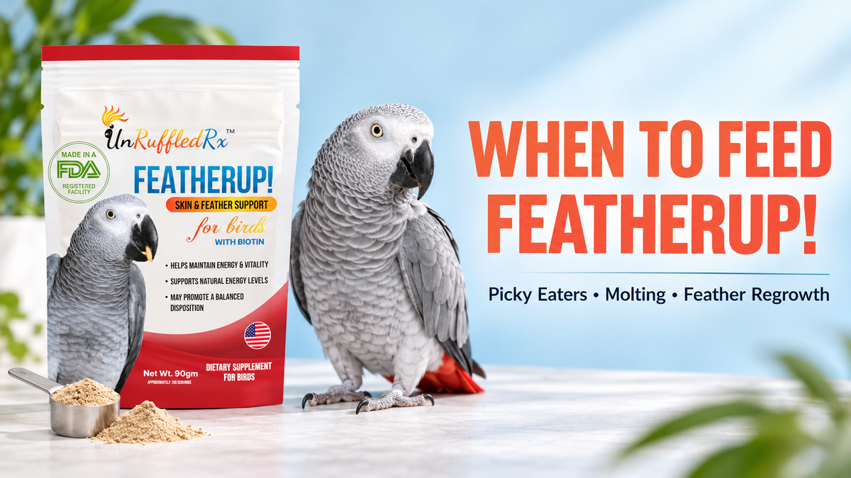 When to feed Featherup Bird vitamins for skin and feather health