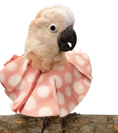 Velcro Cone Bird Collar