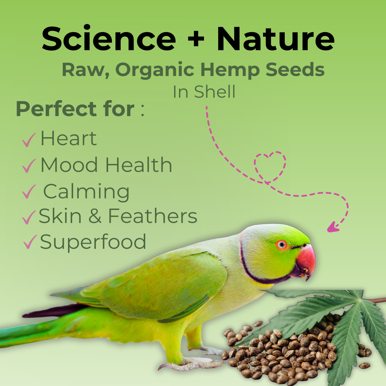 Benefits of Hemp seed for birds