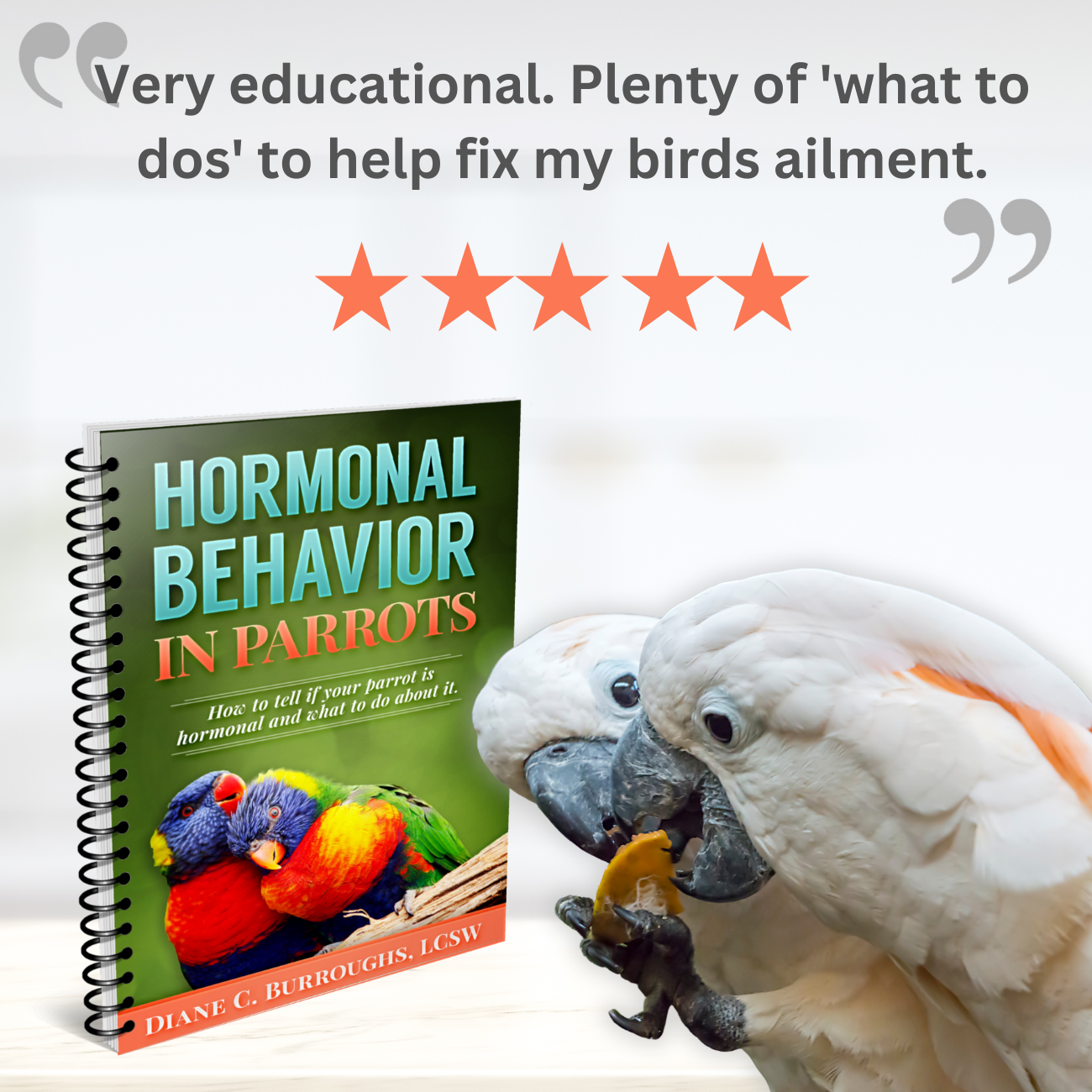 Bird Hormones And Behavior: What You Need To Know EBook