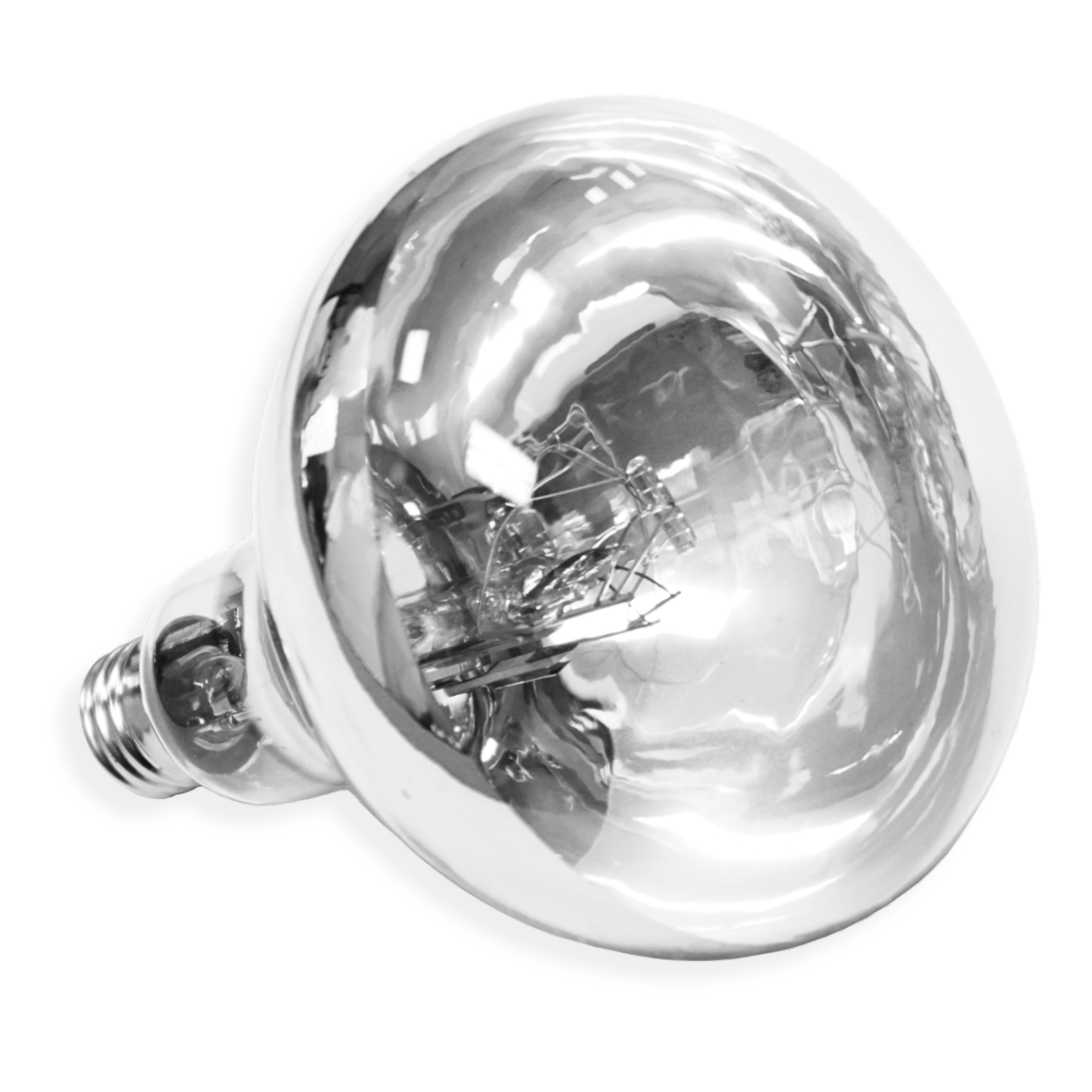 Featherbrite Illumination bulb for bird floor lamp