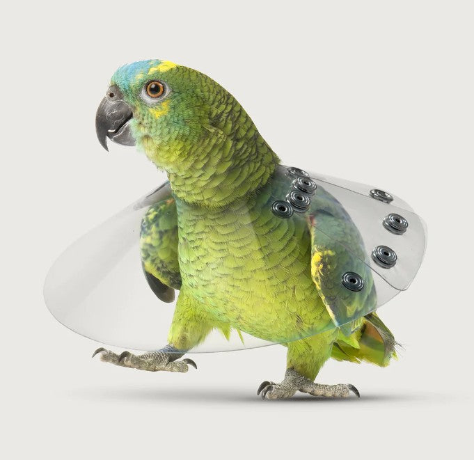 Saf-T Shield Bird e-collar