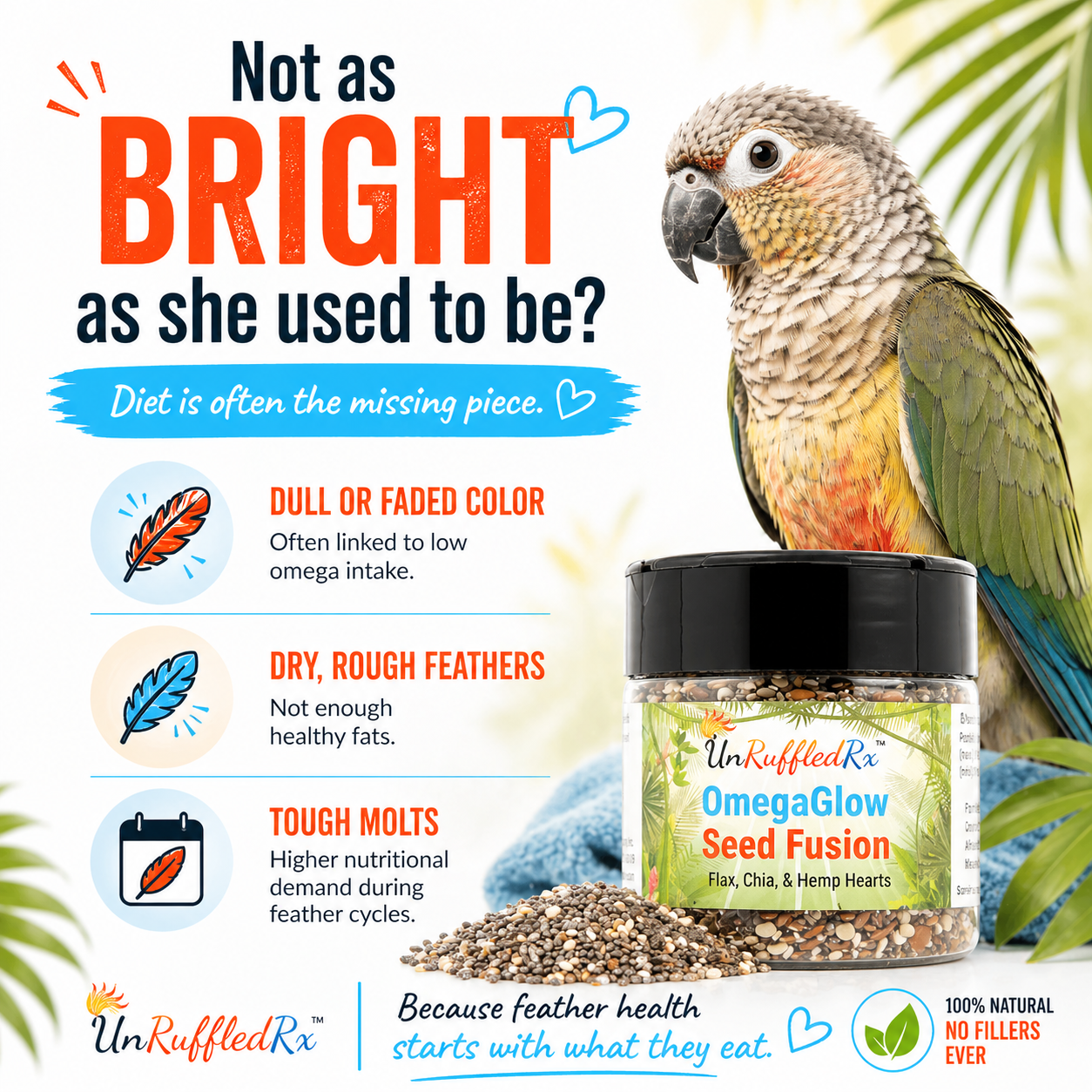 Parrot with a jar of UnRuffled Rx OmegaGlow Seed Fusion discussing what people might notice when their bird is low on nutrients