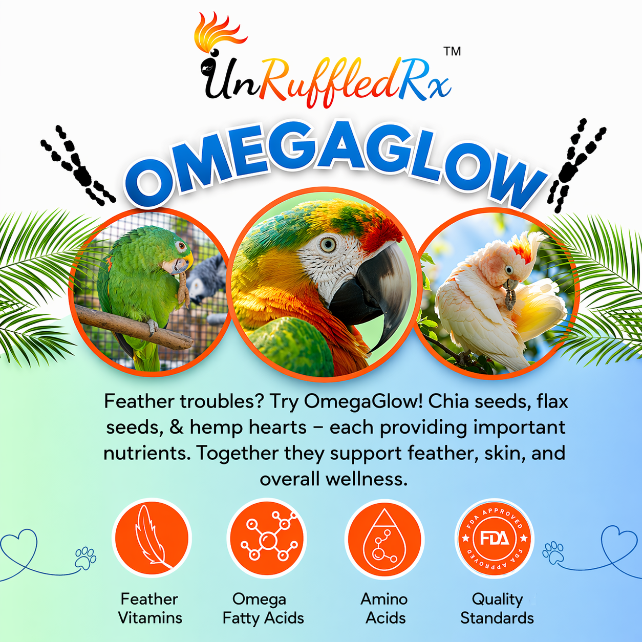 learn about  OmegaGlow, a natural seed combo that supports skin health, feather health, and overall wellness.