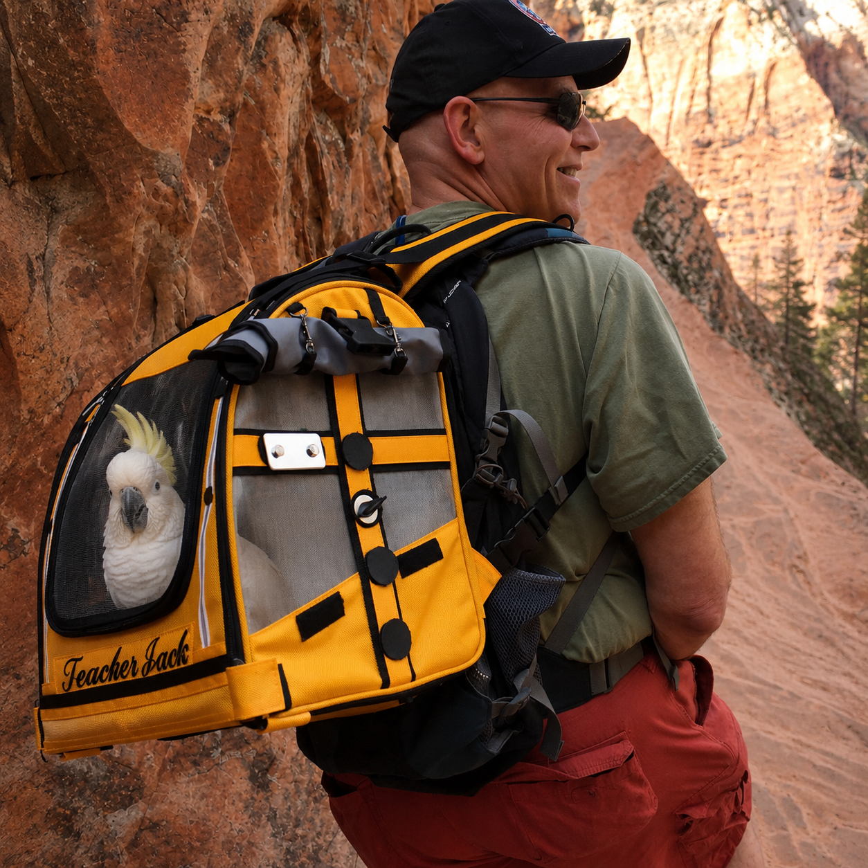 Man hiking with a yellow backpack featuring a parrot, set against a rocky landscape.