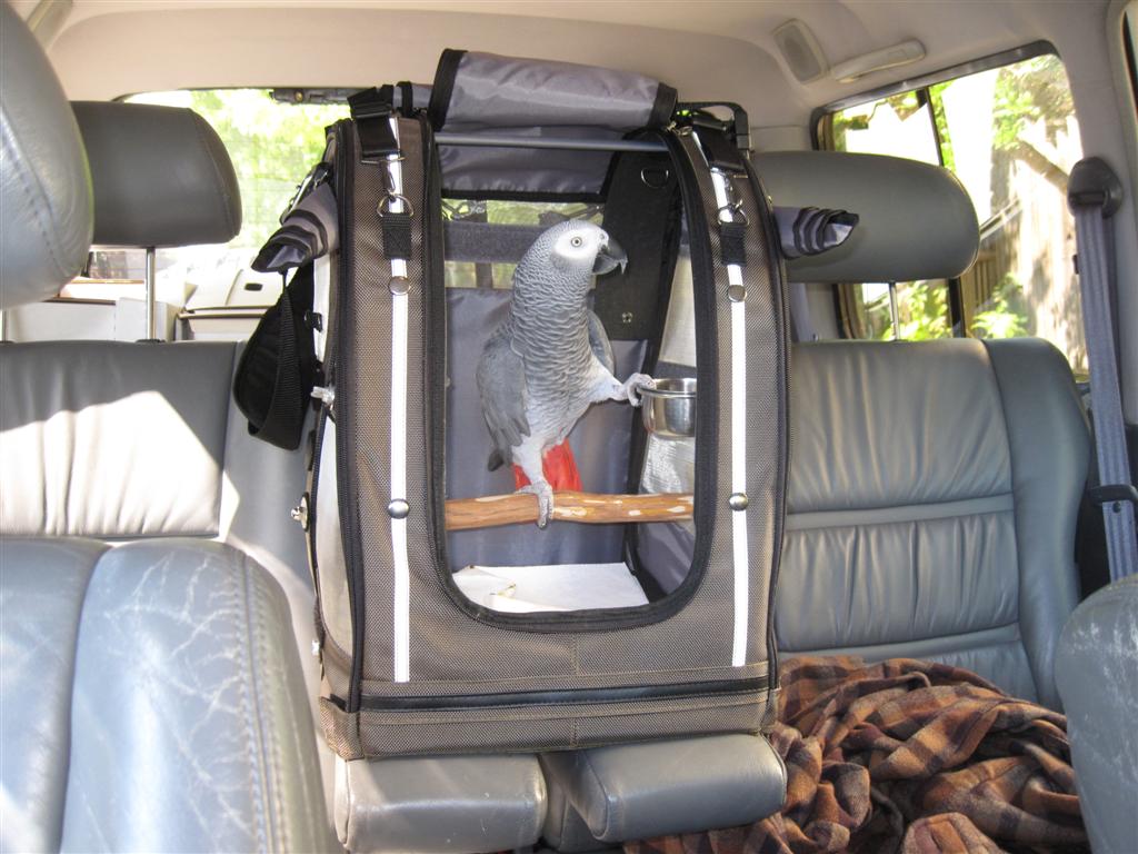 Parrot travel cage