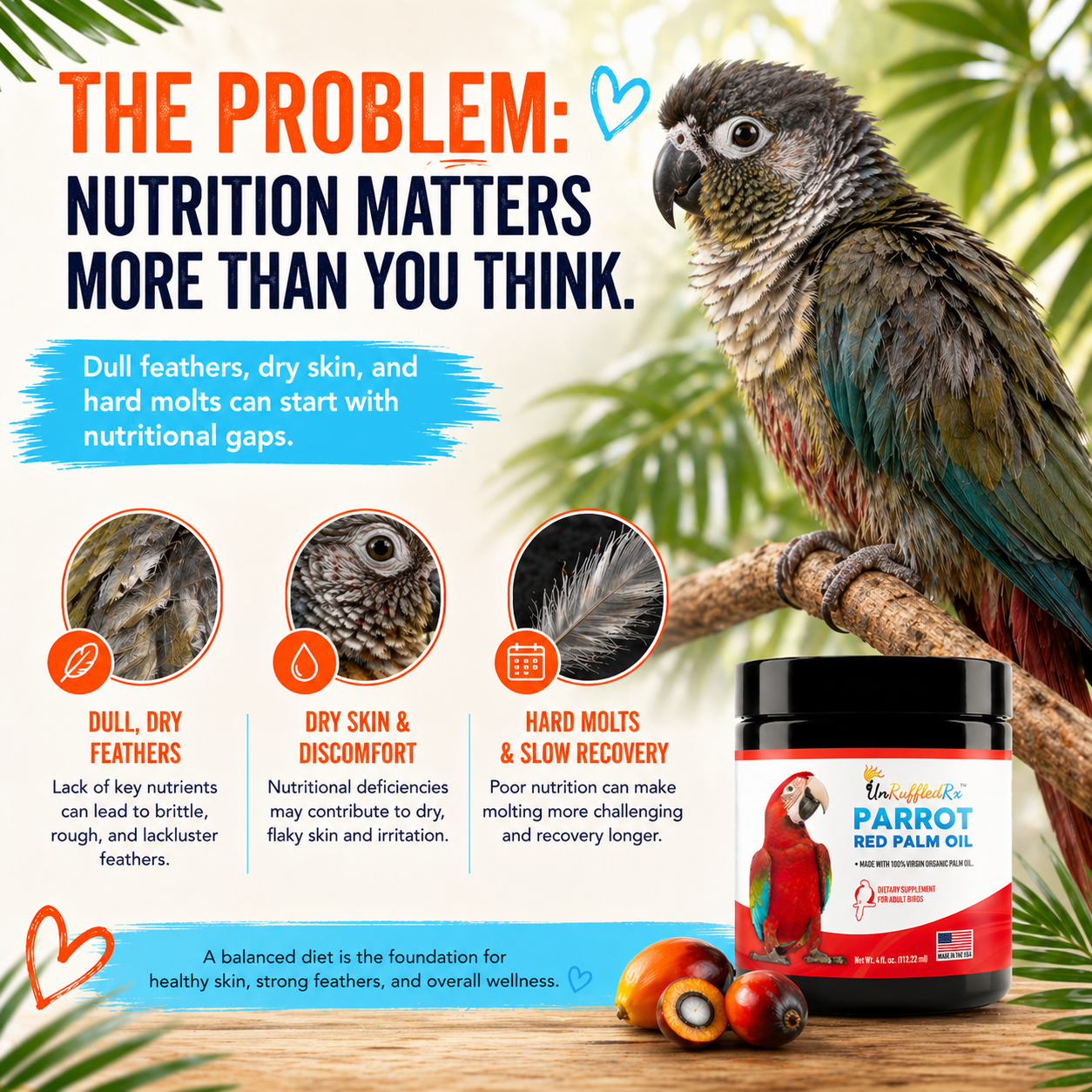parrot  on a branch showing how nutritional deficits can result in poor feather health, skin health, and hard molts