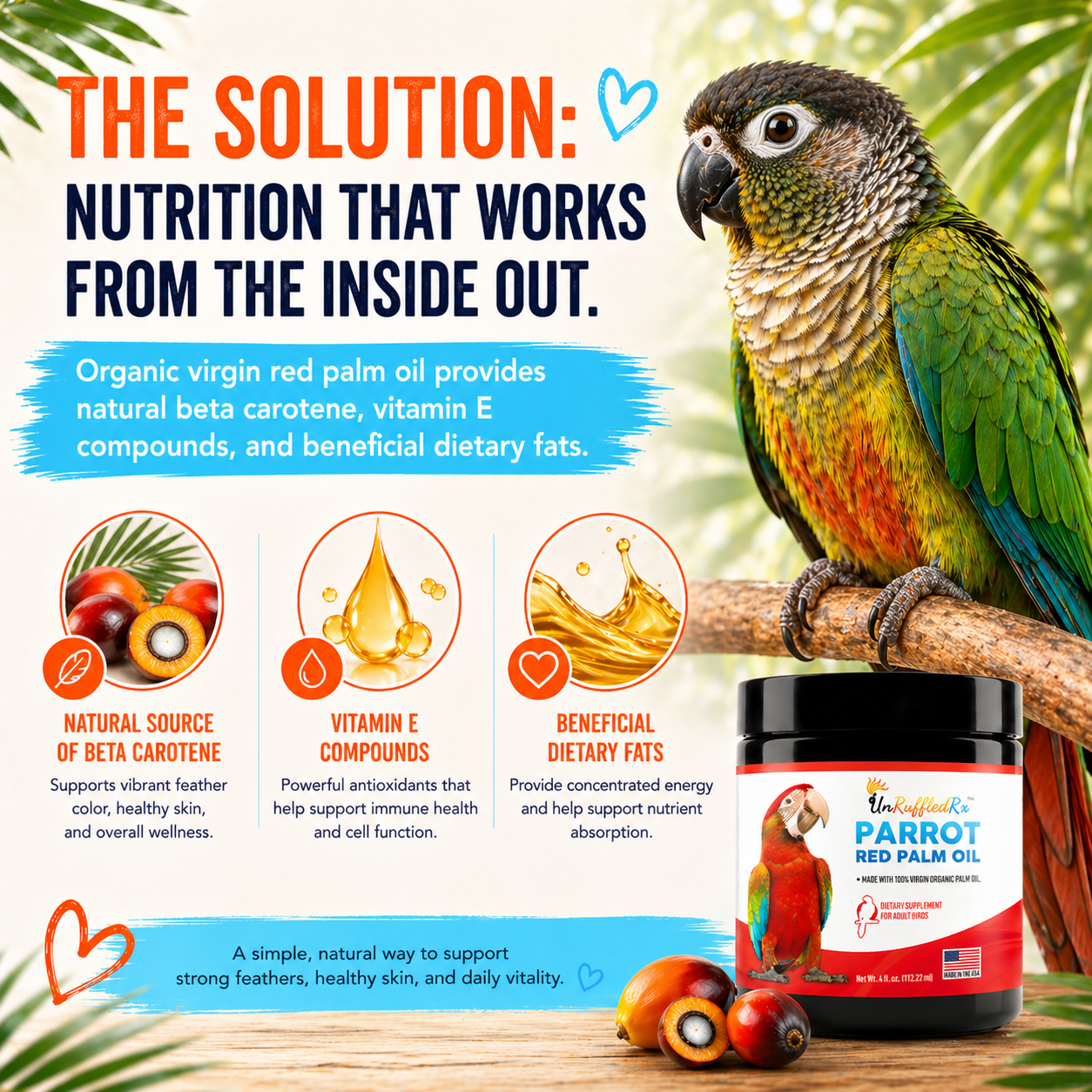 image of how red palm oil for birds can provide a source of natural beta carotene, vitamin E and beneficial dietary fats