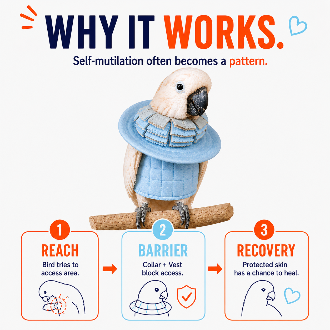 Parrot wearing a blue vest with text explaining self-mutilation prevention, on a white background.