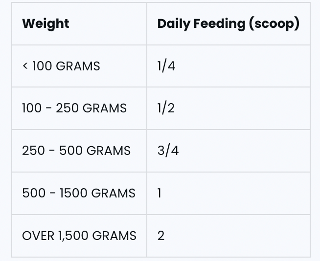 Feeding bird milk thistle & dandelion root