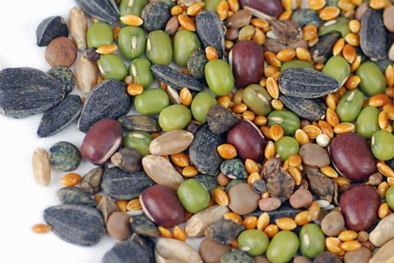 fresh, raw sprouting seeds for birds- 12 varieties of nutritious seeds