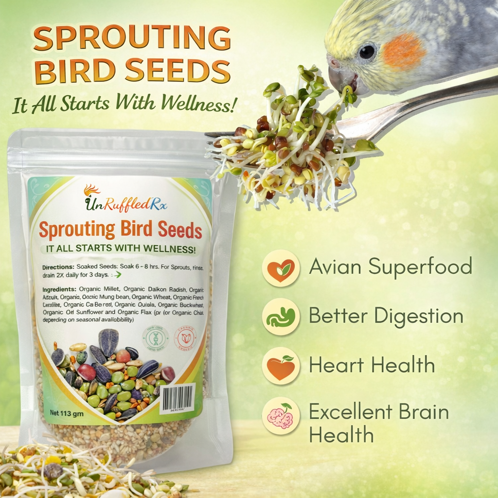 nutritious 12 seed blend specifically for birds to aid in overall wellness