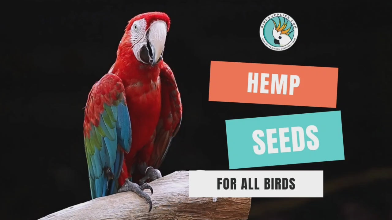 Hemp Seed Video 