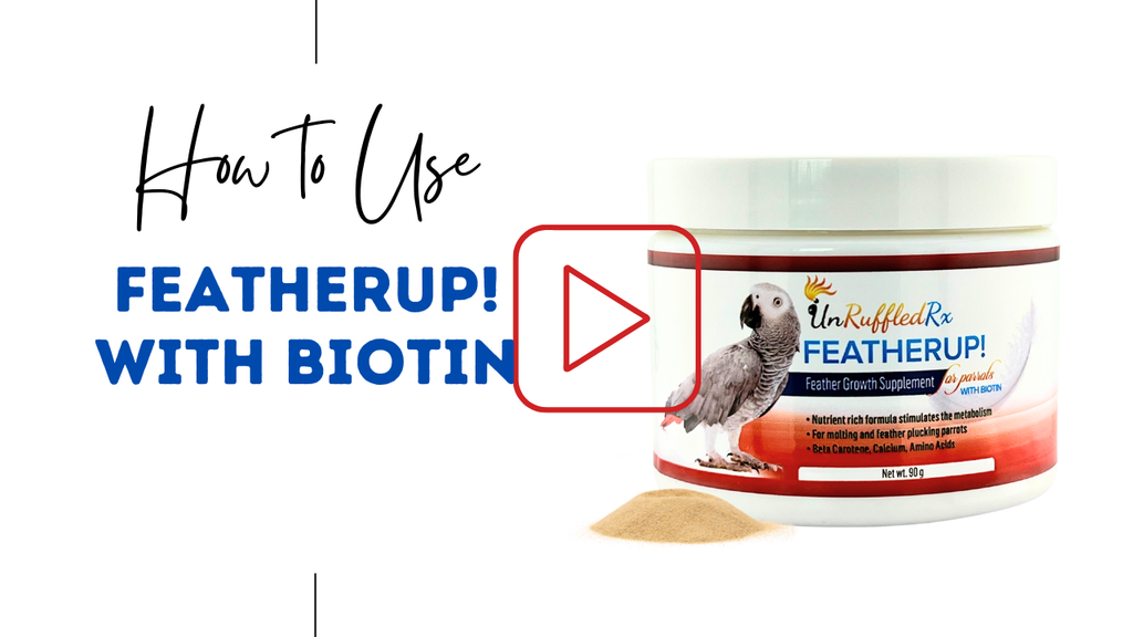 how to use FeatherUp! Bird feather regrowth supplement – support for plucking recovery and new growth