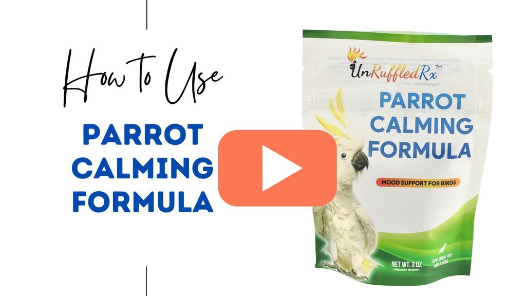 Daily parrot stress support – natural calming aid for anxious birds