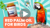 Food-grade red palm oil for birds – supports immune health and vibrant plumage