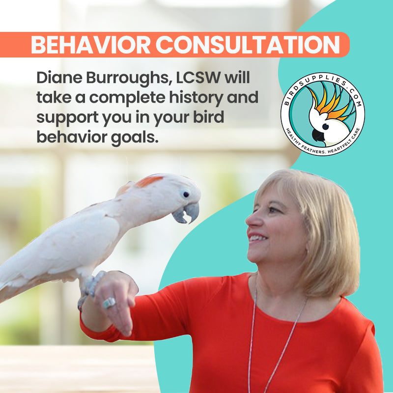 Bird Behavior Consultation