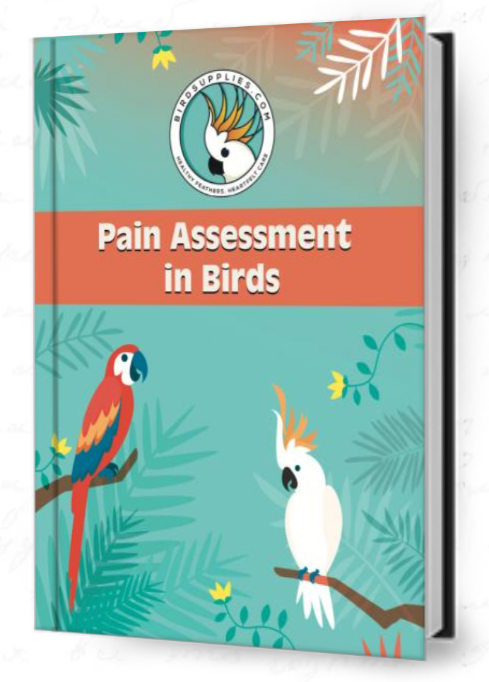 Pain Assessment For Birds Questionnaire - BirdSupplies.com