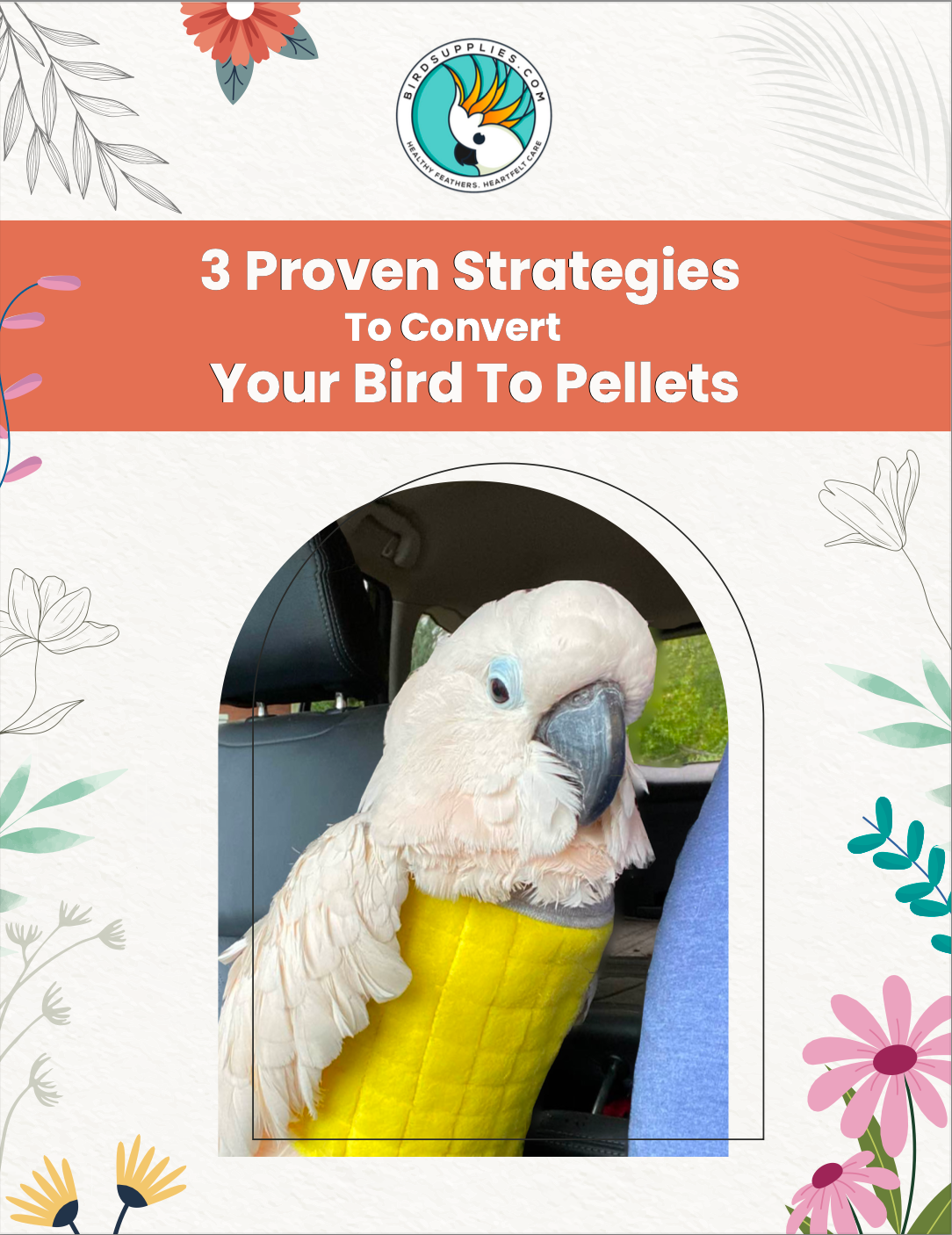 How To Convert Your Bird To Pellets eBook - BirdSupplies.com