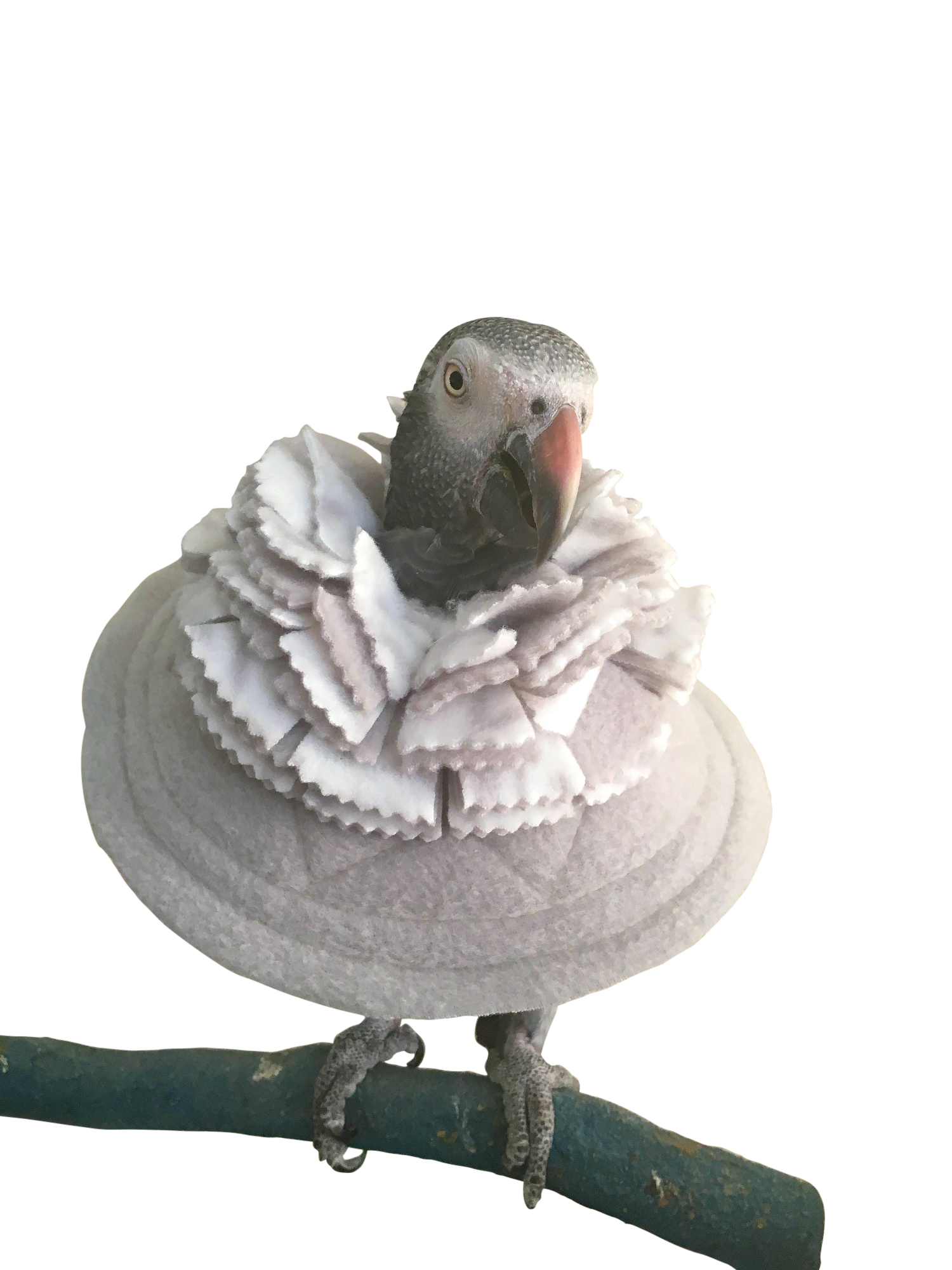 Fringy Cone Bird Collar