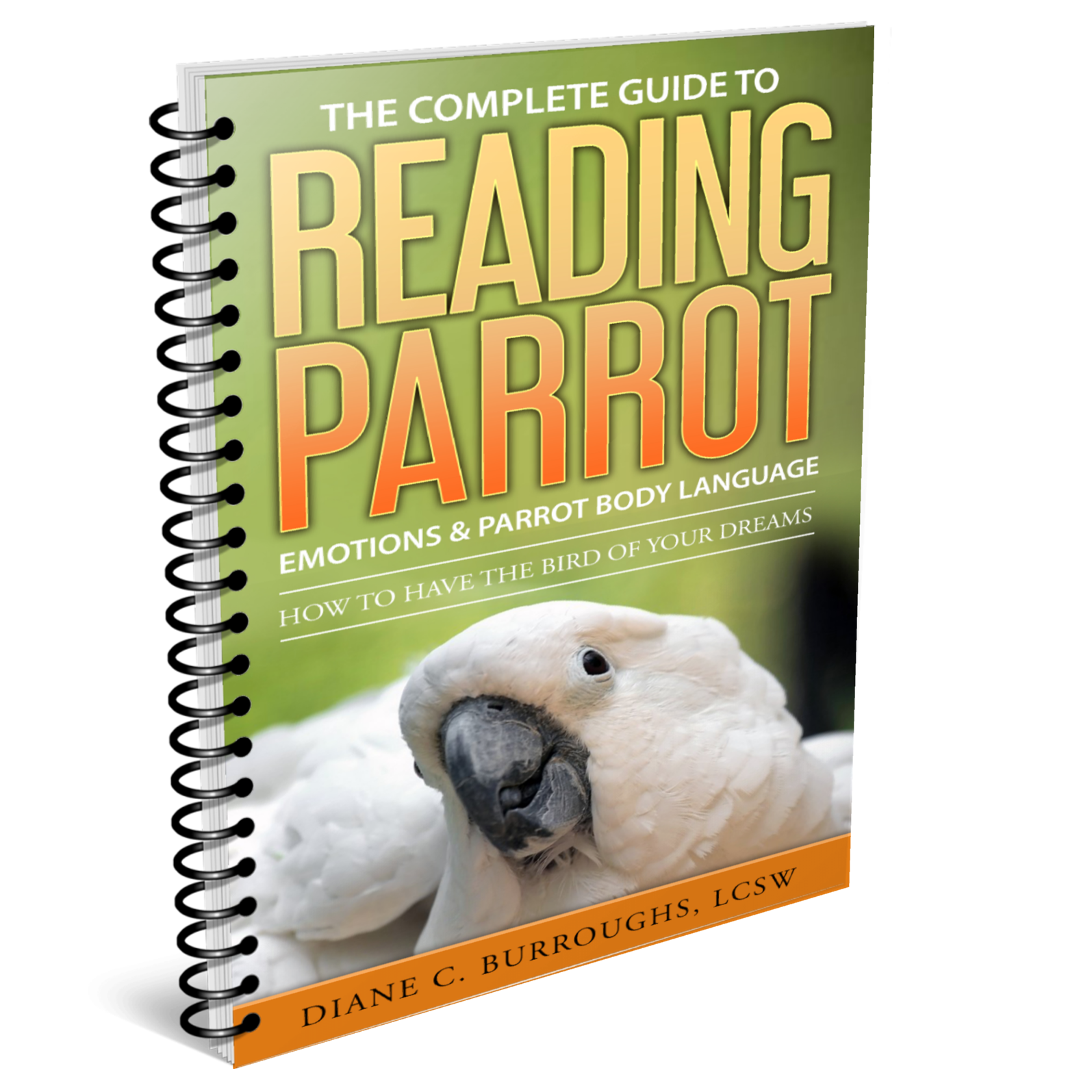 Parrot Emotions & Parrot Body Language