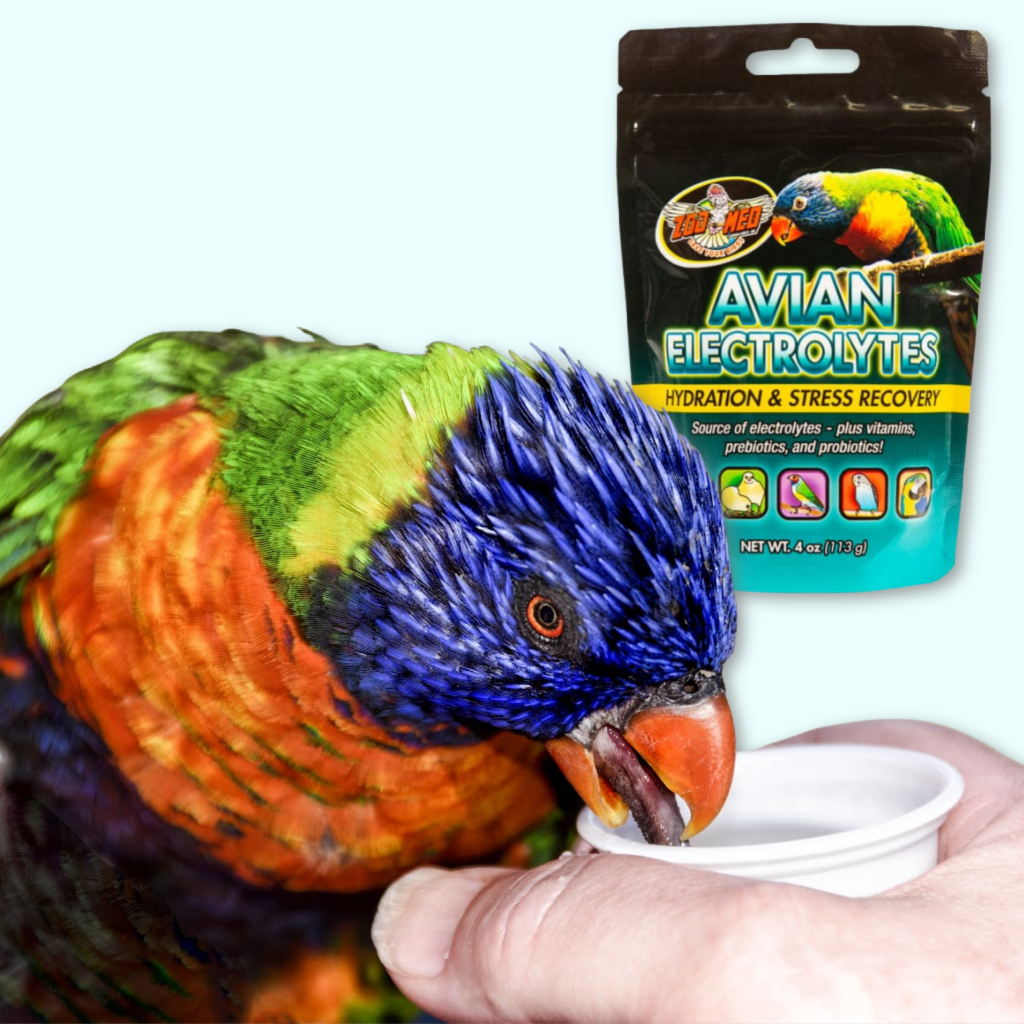 Avian Electrolytes,  Hydration, & Stress Recovery - BirdSupplies.com