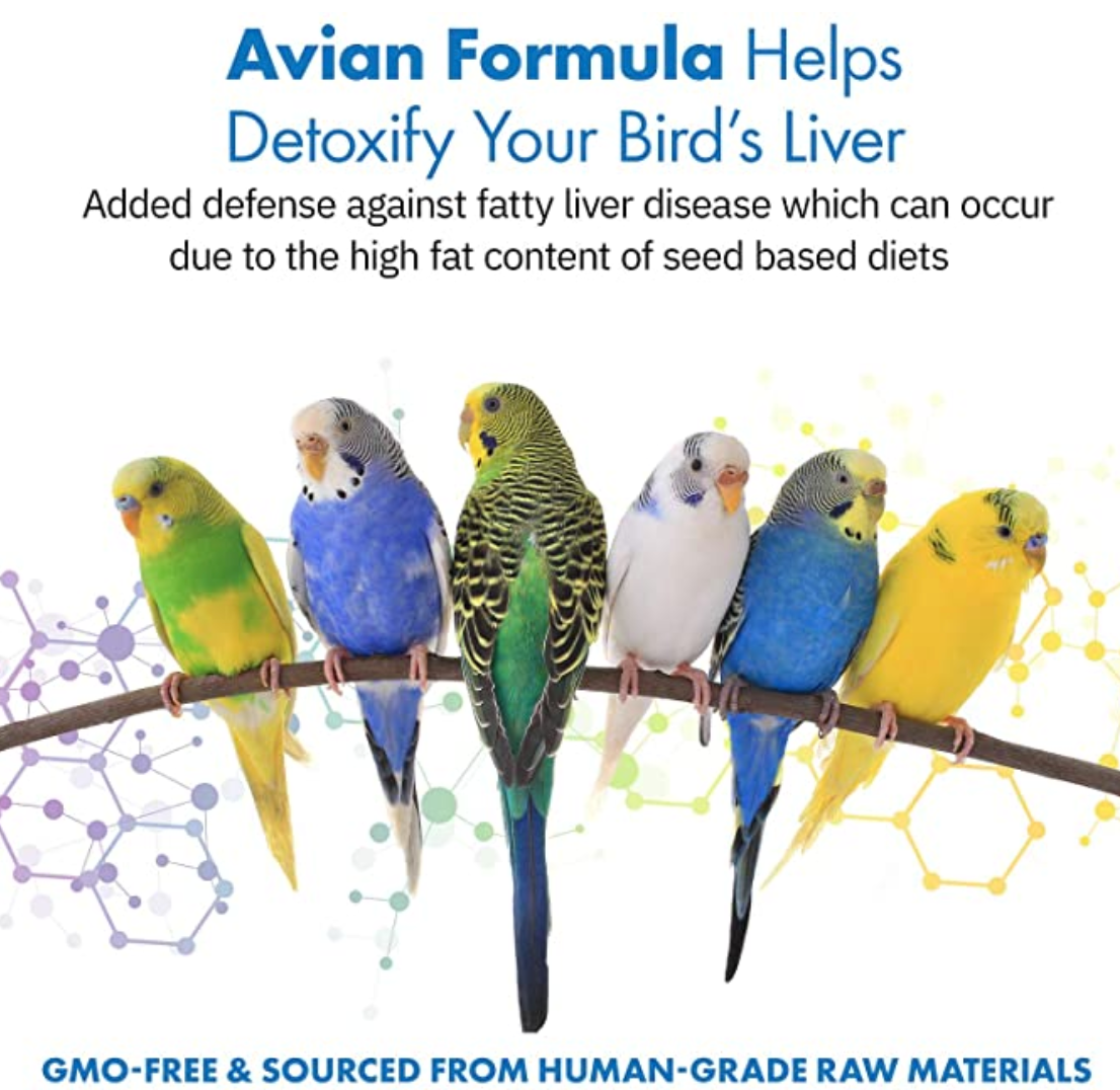 fatty liver disease in birds