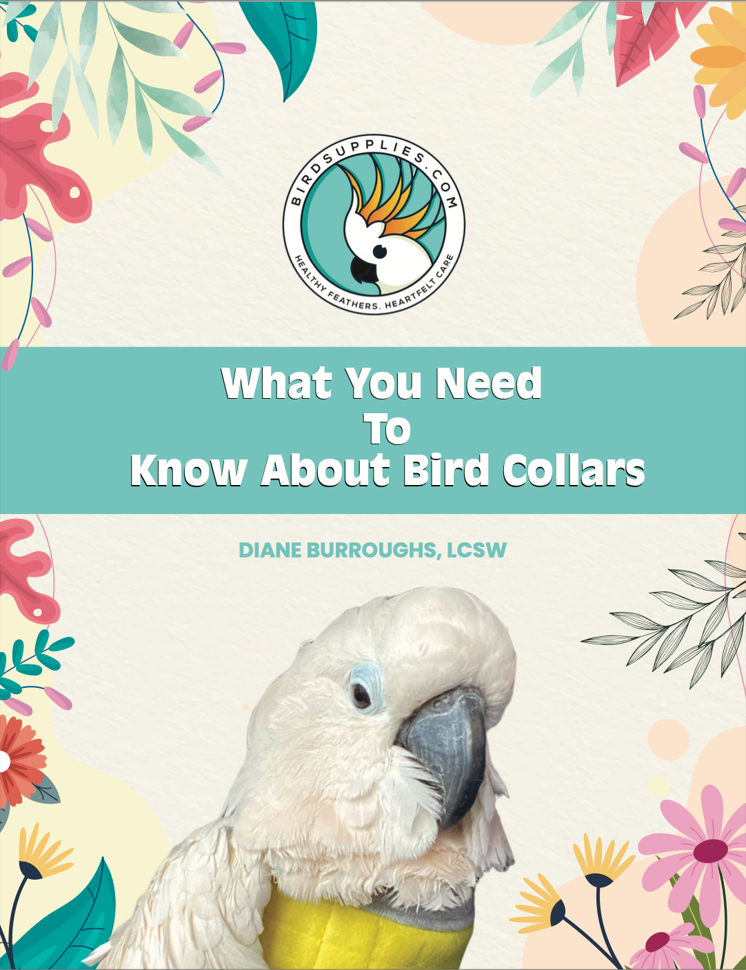 What You Need To Know About Bird Collars - BirdSupplies.com