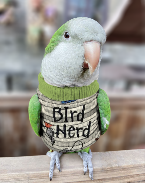 Parrots Sweaters With Birds On Them Handmade Custom Hooded Sweater