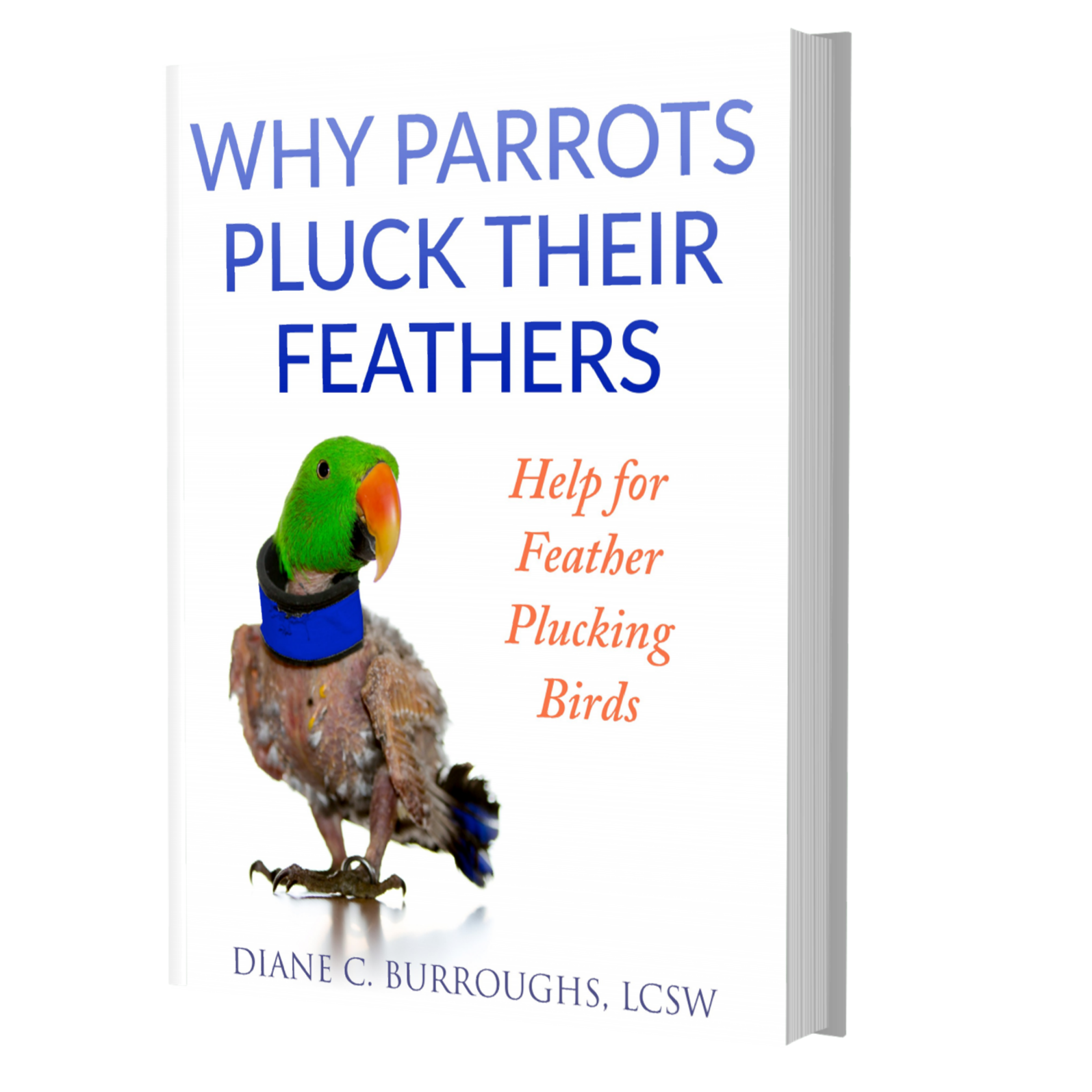 Why Parrots Pluck eBook – discover the causes and solutions for feather plucking, download now